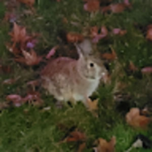 Meet your Posher, Christopher